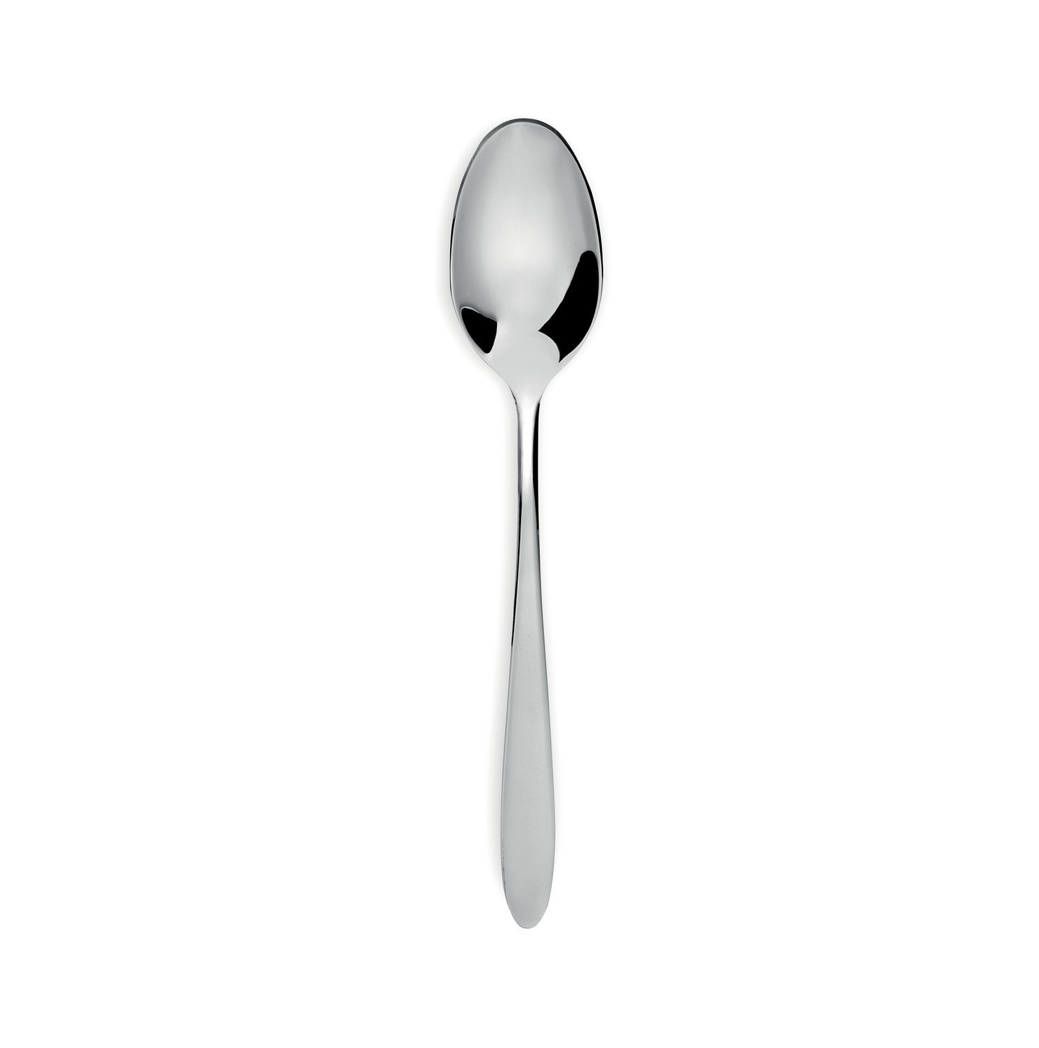 Turquoise - 12-piece table spoon