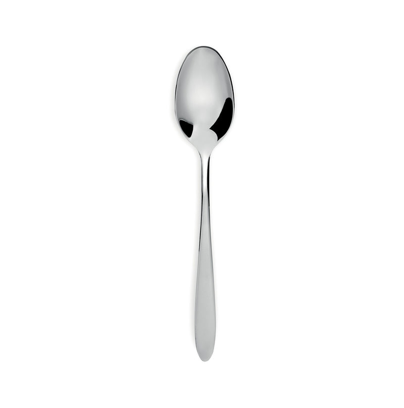 Turquoise - 12-piece table spoon